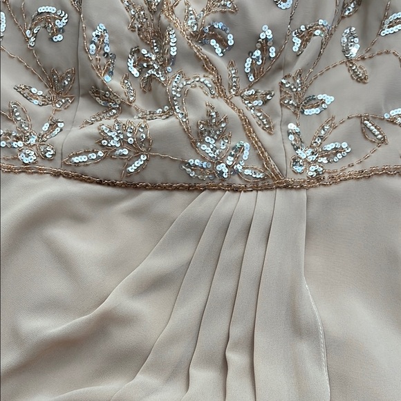 Adrianna Pappell size 12 beaded Sequin Gown - Picture 8 of 15